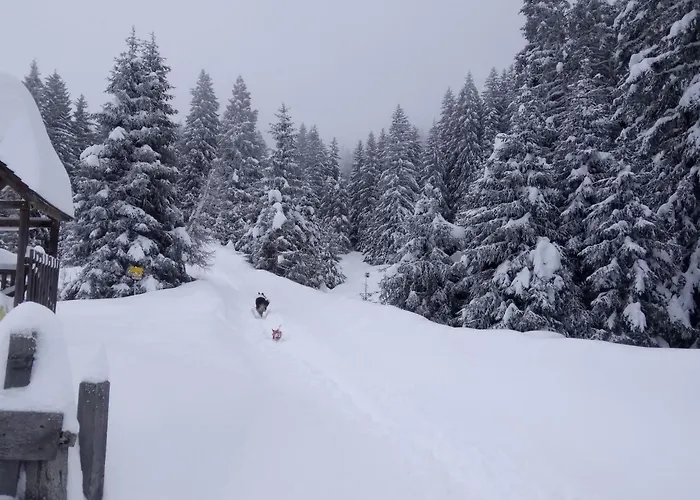 Διαμέρισμα Garten By Interhome *