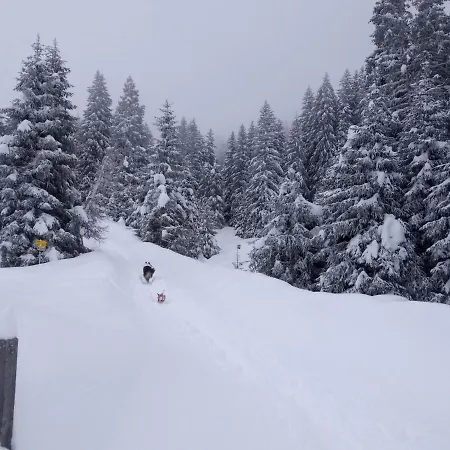 Appartamento Garten By Interhome *